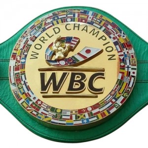WBC 3D Championship Boxing Belt Leather Replica Adult