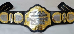 TNA Heavyweight Champion Belt Replica Adult
